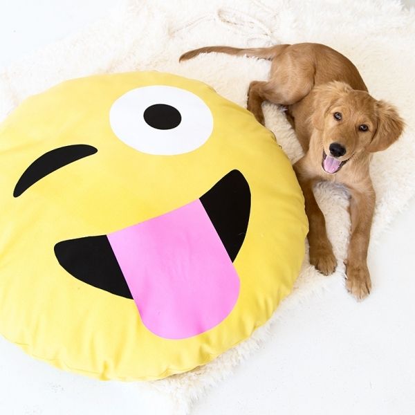 emoji-dog-bed