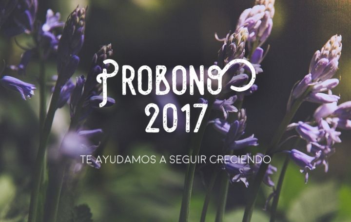 Proyecto PROBONO 2017