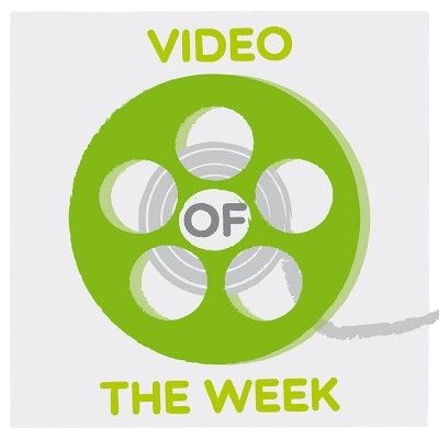 VIDEO OF THE WEEK: el panda perdido