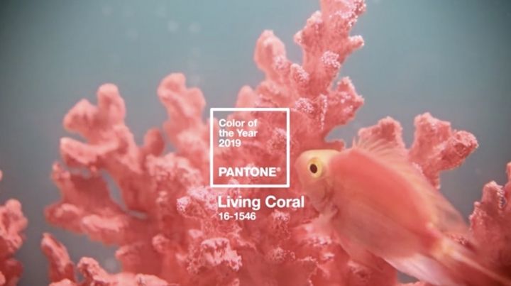 Living Coral, el color de 2019